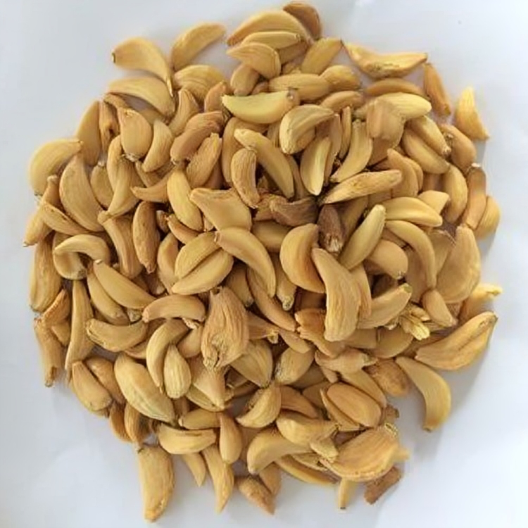 Dehydrated garlic Flakes
